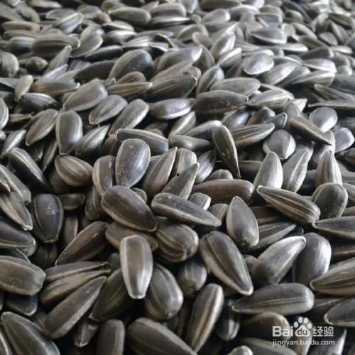 瓜子吃瓜配图,瓜子相伴，一起品味生活百态