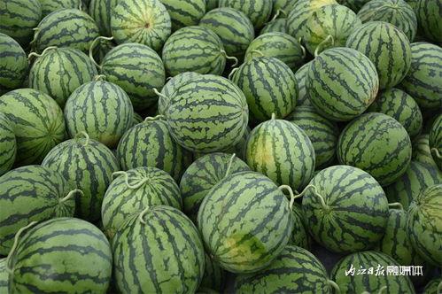 吃瓜四社,网络舆论场的风云变幻