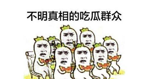 快乐吃瓜群众333,揭秘娱乐圈幕后故事