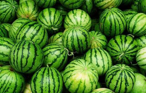 有事必吃瓜,揭秘娱乐圈背后的那些事儿