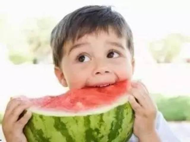 吃瓜和旺财,吃瓜群众与旺财狗的欢乐日常