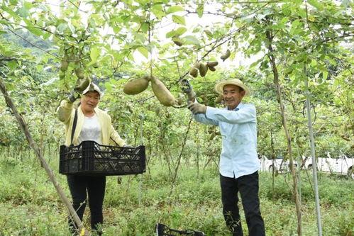 新晋吃瓜群众,揭秘娱乐圈幕后风云