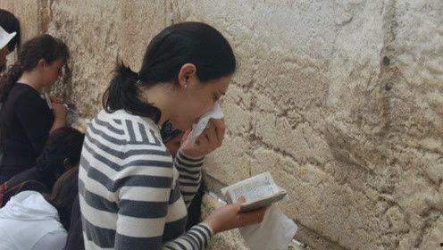 娱乐吃瓜君太阳