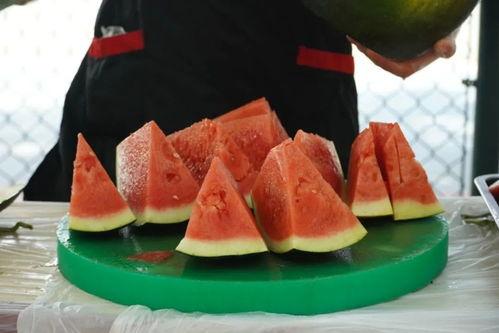 家人们个个都有瓜吃,全民共享的幸福时光