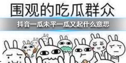 抖音吃瓜丑,揭秘网络舆论背后的真相与反思