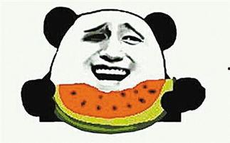 吃瓜群众吃的是什么瓜