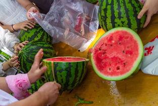 新乡吃瓜视频,揭秘当地美食文化盛宴