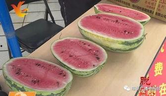 从化吃瓜的图片,夏日里的悠闲时光