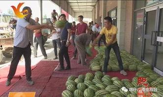 从化吃瓜的图片,夏日里的悠闲时光