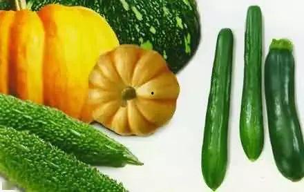 坐在屋顶吃瓜,夏日悠闲时光的惬意体验