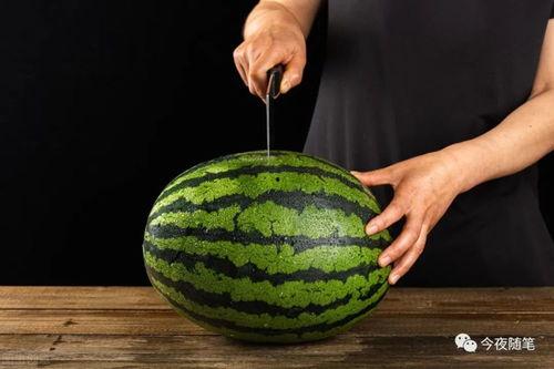 姨夫吃瓜,揭秘娱乐圈背后的那些事儿