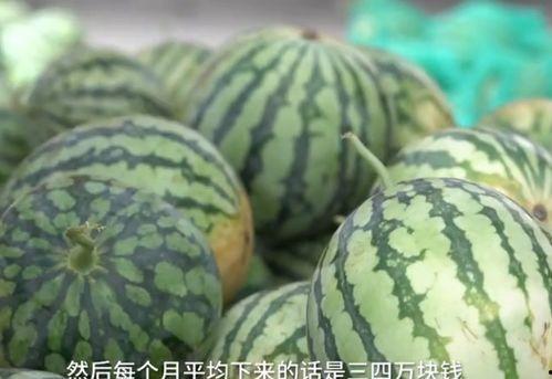 52 43秒 吃瓜,揭秘娱乐圈幕后真相