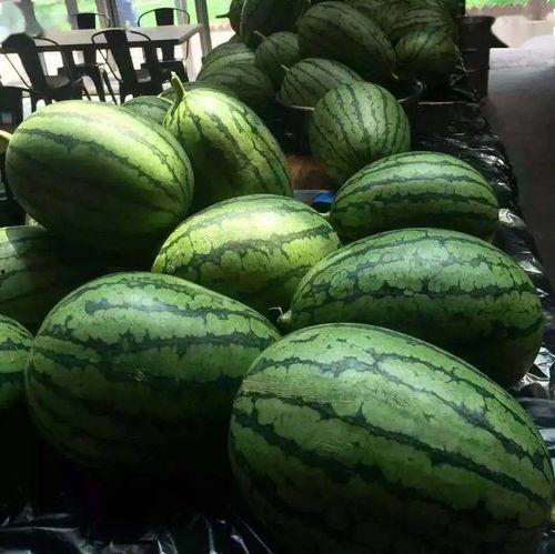 京瓜能怎么吃,解锁京瓜美味新境界