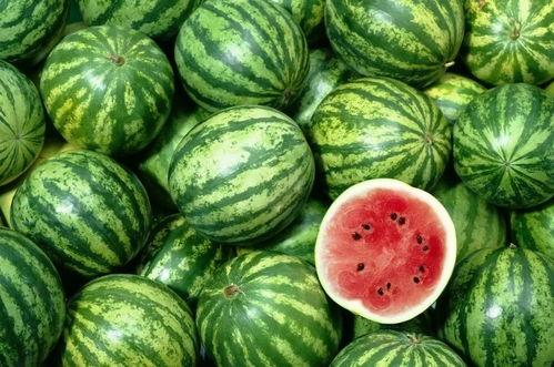 大头和珍珍吃迷你的瓜,大头与珍珍的迷你瓜美食之旅