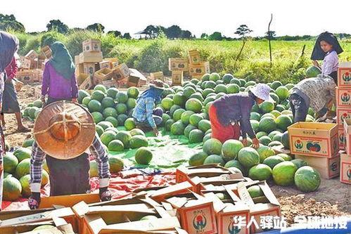 吃瓜网缅甸,吃瓜网带你揭秘神秘国度的热点事件