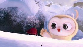 吃瓜拍搞笑视频,搞笑视频里的欢乐瞬间