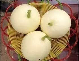 小白瓜可以怎么吃,创意烹饪指南