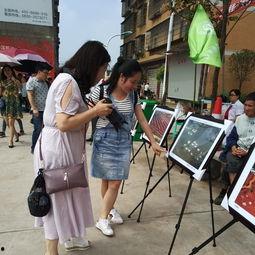 招远吃瓜群众事件,一场网络暴力引发的深思