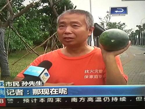 介休吃瓜事件阿杜,阿杜的意外走红与网络舆论的狂欢