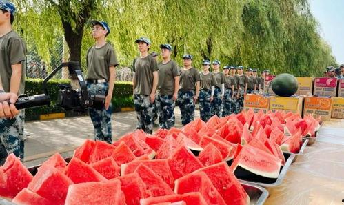 福建职业吃瓜,揭秘网络红人的幕后生活