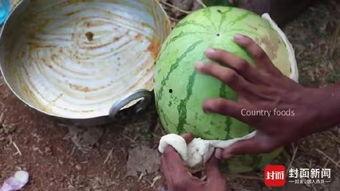 印度直播吃瓜视频,一场全民参与的视觉盛宴