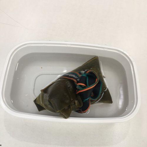 奇葩弹弓带你吃瓜,带你穿越瓜田，尽享欢乐时光