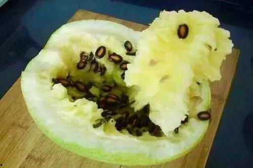 打籽瓜怎么吃,解锁美味新体验