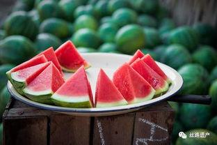 吃瓜蒙古,揭秘草原上的美食传奇