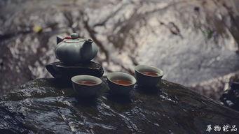 在家里喝茶吃瓜,居家品茗赏瓜，悠然自得时光