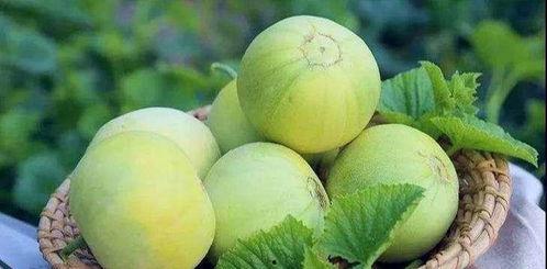 盒马吃瓜甜瓜,甜瓜美味新体验，尽享夏日清凉时光