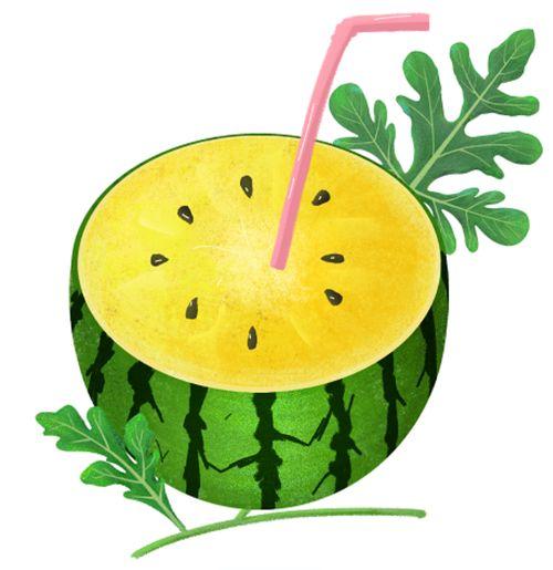 人类吃瓜协会,瓜界风云录