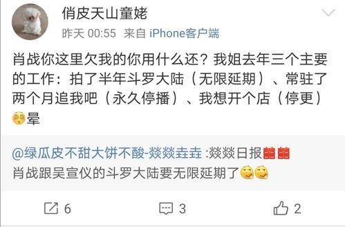 吃瓜的路人分析,吃瓜群众视角下的娱乐圈风云录