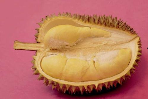 吃榴莲的瓜娃子,瓜娃子们的独特美食体验