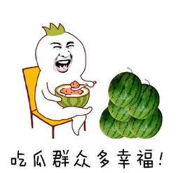 吃瓜群众老师,趣味教学背后的教育智慧