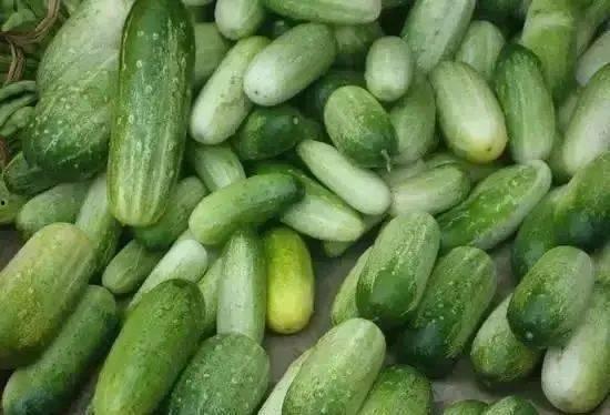 聊天吃瓜群云南