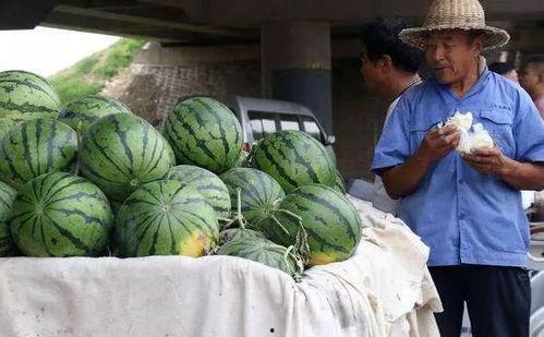 河北能源吃瓜事件,揭秘背后真相与争议