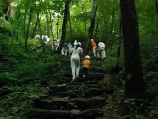 在哪里爬山吃瓜,探寻户外登山与休闲美食的完美邂逅