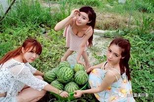 吃瓜摘花 世初,吃瓜摘花，探寻神秘起源之谜