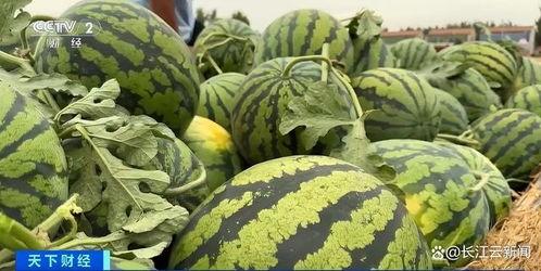 吃他的瓜,那些年我们一起吃过的“瓜”