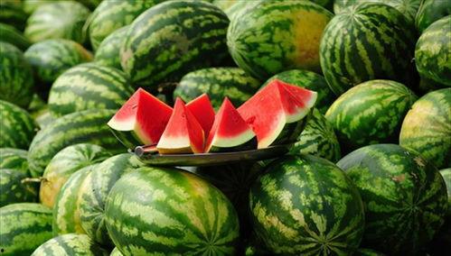 吃他的瓜,那些年我们一起吃过的“瓜”