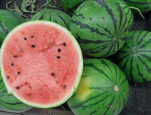 免费带你吃瓜,揭秘热门事件背后的真相