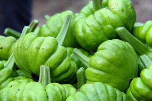 宝宝吃姜柄瓜做法,简单美味，助力健康成长