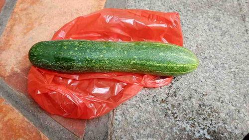 什么瓜吃一下,揭秘“什么瓜”的神奇魅力