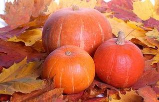 火神瓜怎么吃效果最好,最佳食用方法解锁健康益处