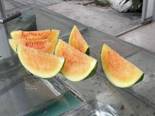 这个夏天吃瓜了吗,这个夏天，你吃瓜了吗？