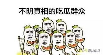 我们也是吃瓜群众,揭秘娱乐圈幕后故事