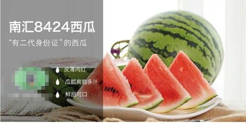 带你吃瓜ai鉴定,科技与娱乐的跨界融合