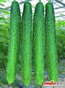 不孕不育吃瓜,吃瓜群众如何正确看待生育难题