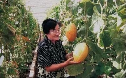 大奶奶吃瓜,闲话家常，品味人生