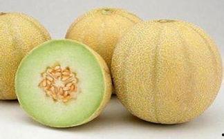 布病患者可以吃哈密瓜吗,哈密瓜可否食用？